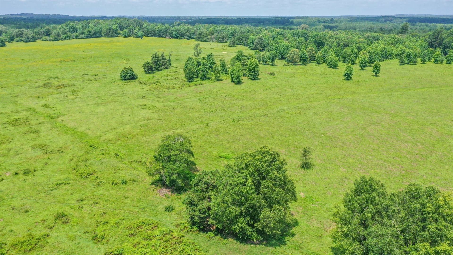155.5 acres in Cass County - photo 24