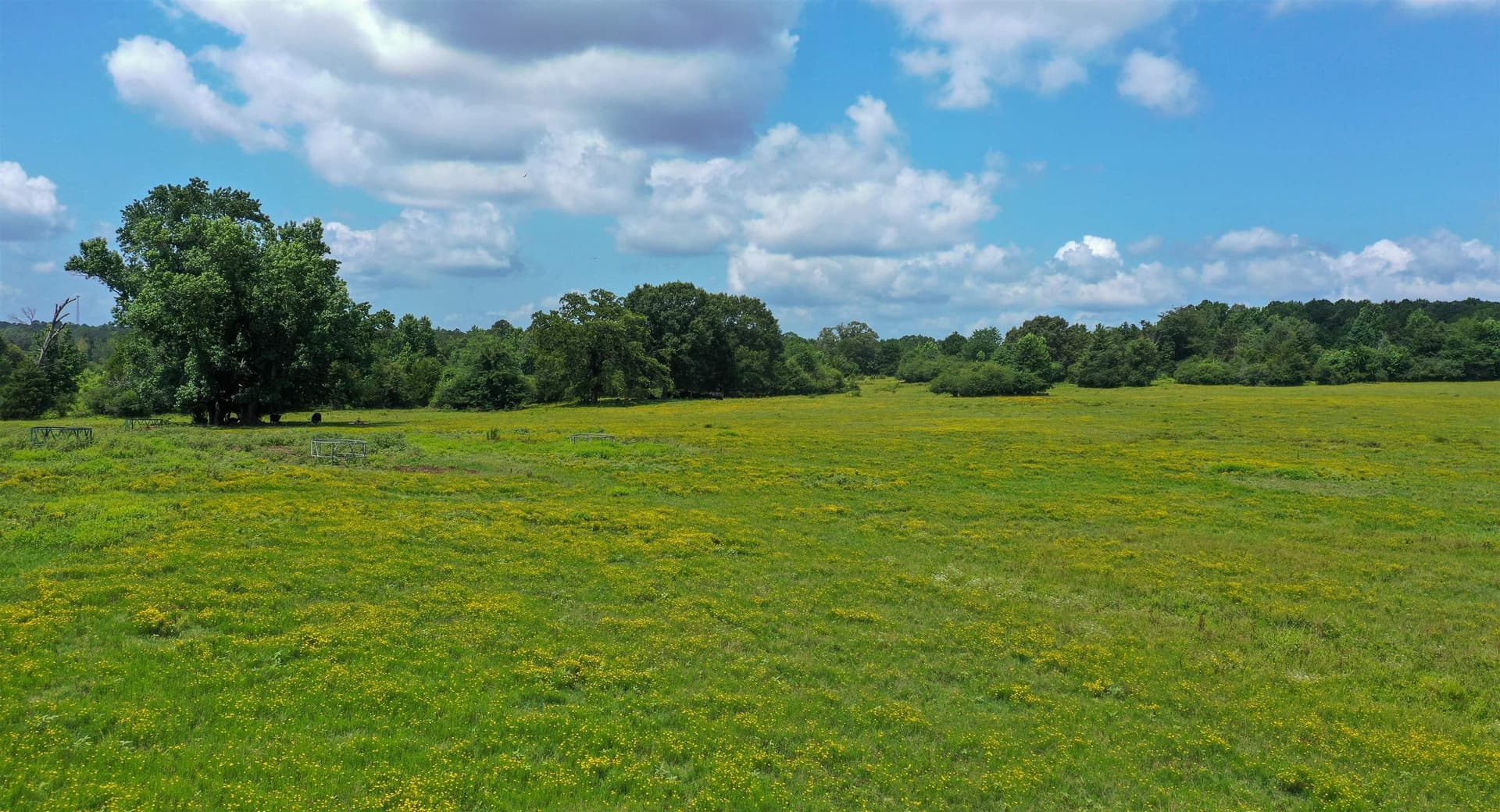 155.5 acres in Cass County - photo 18