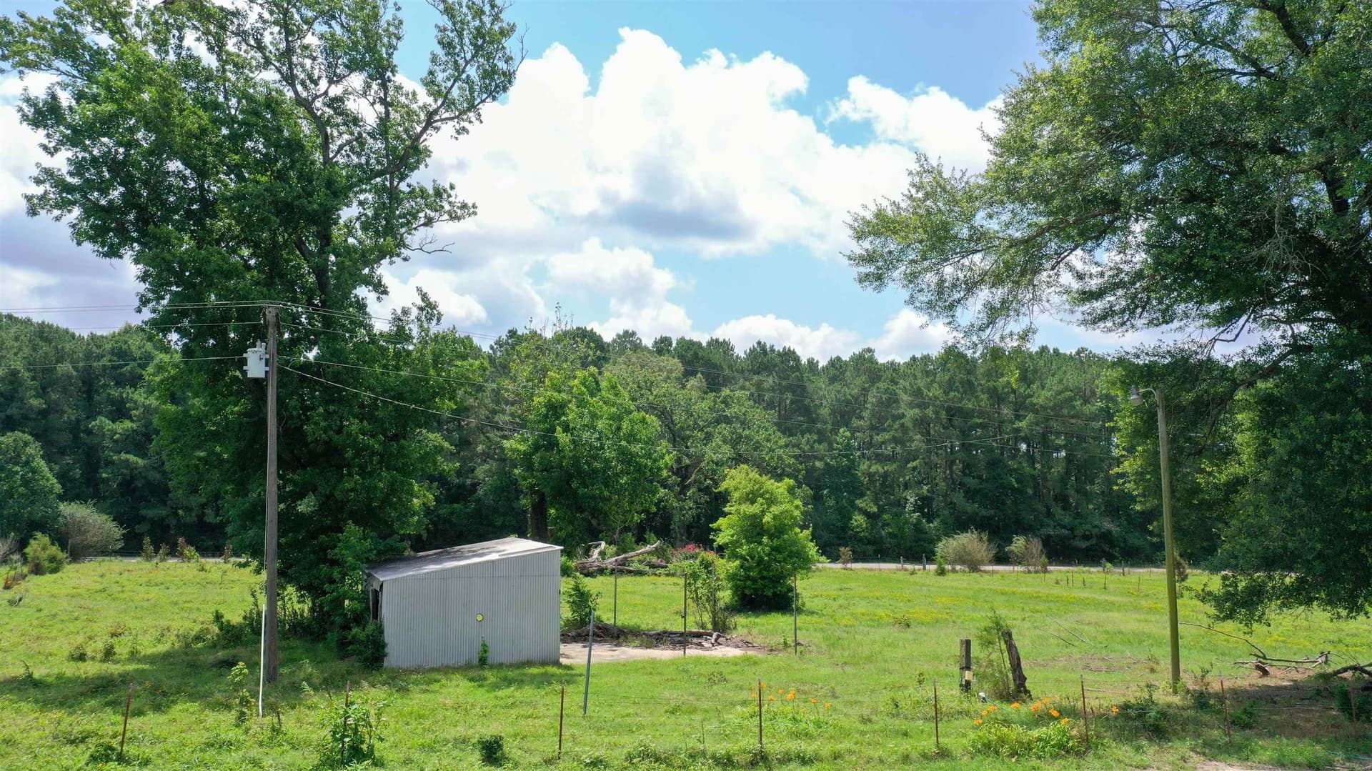 155.5 acres in Cass County - photo 8