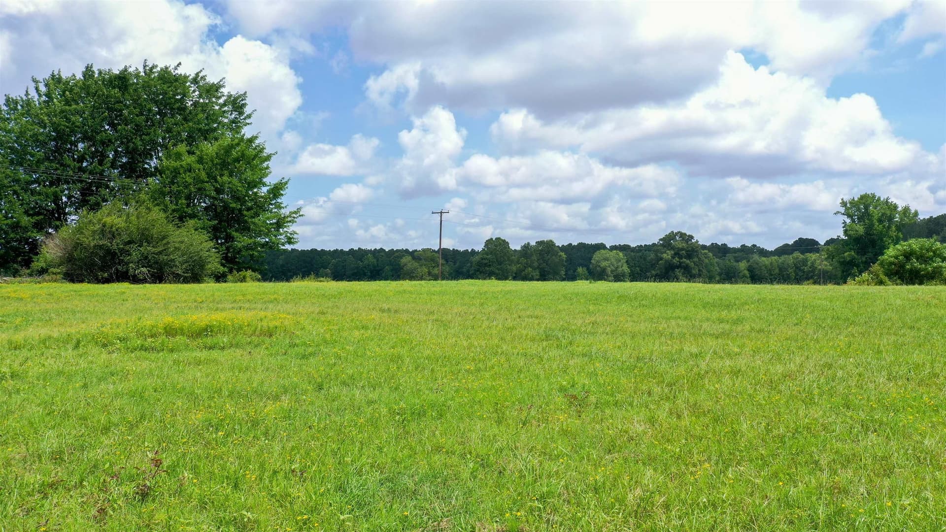 155.5 acres in Cass County - photo 16