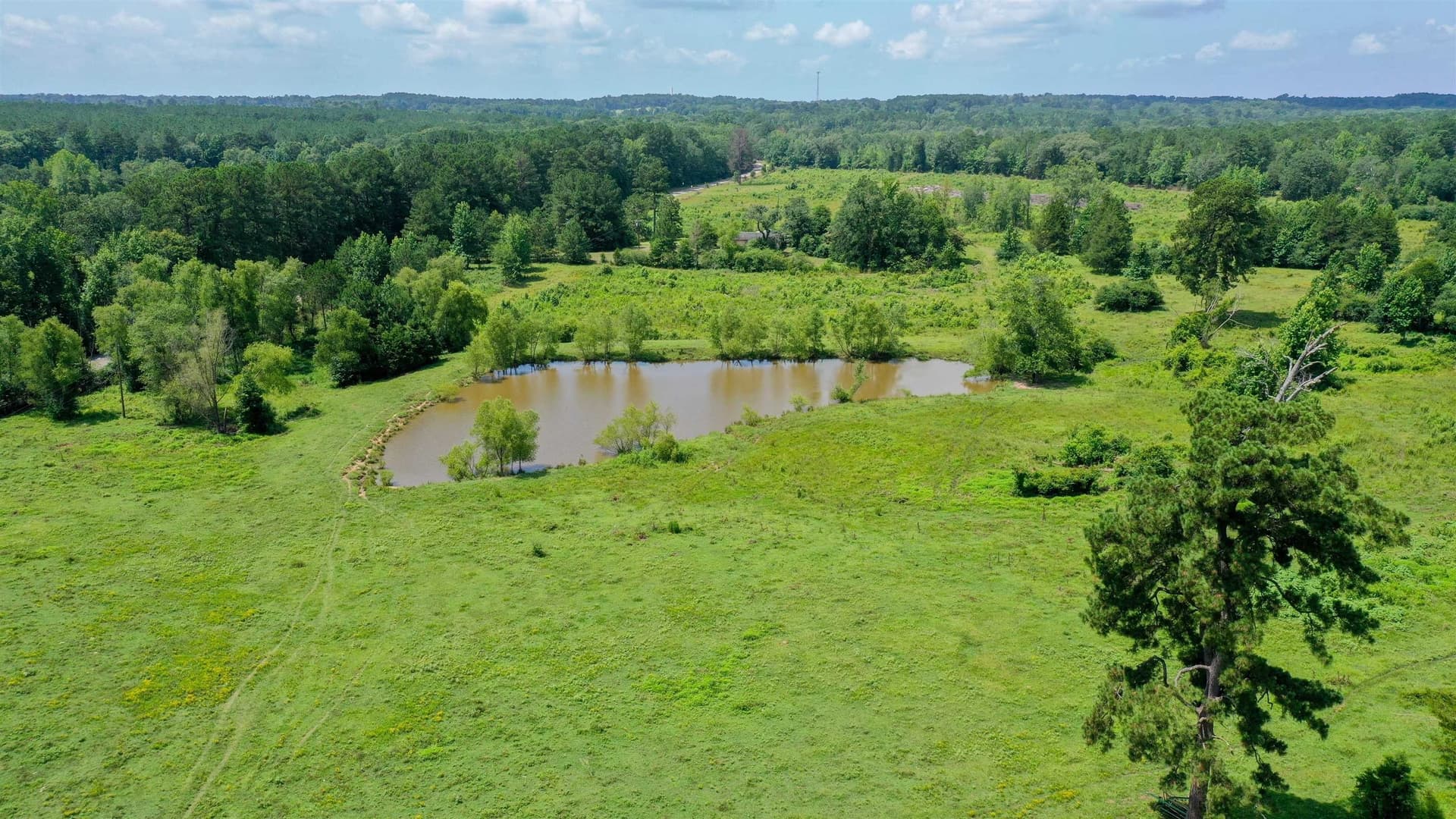 155.5 acres in Cass County - photo 12