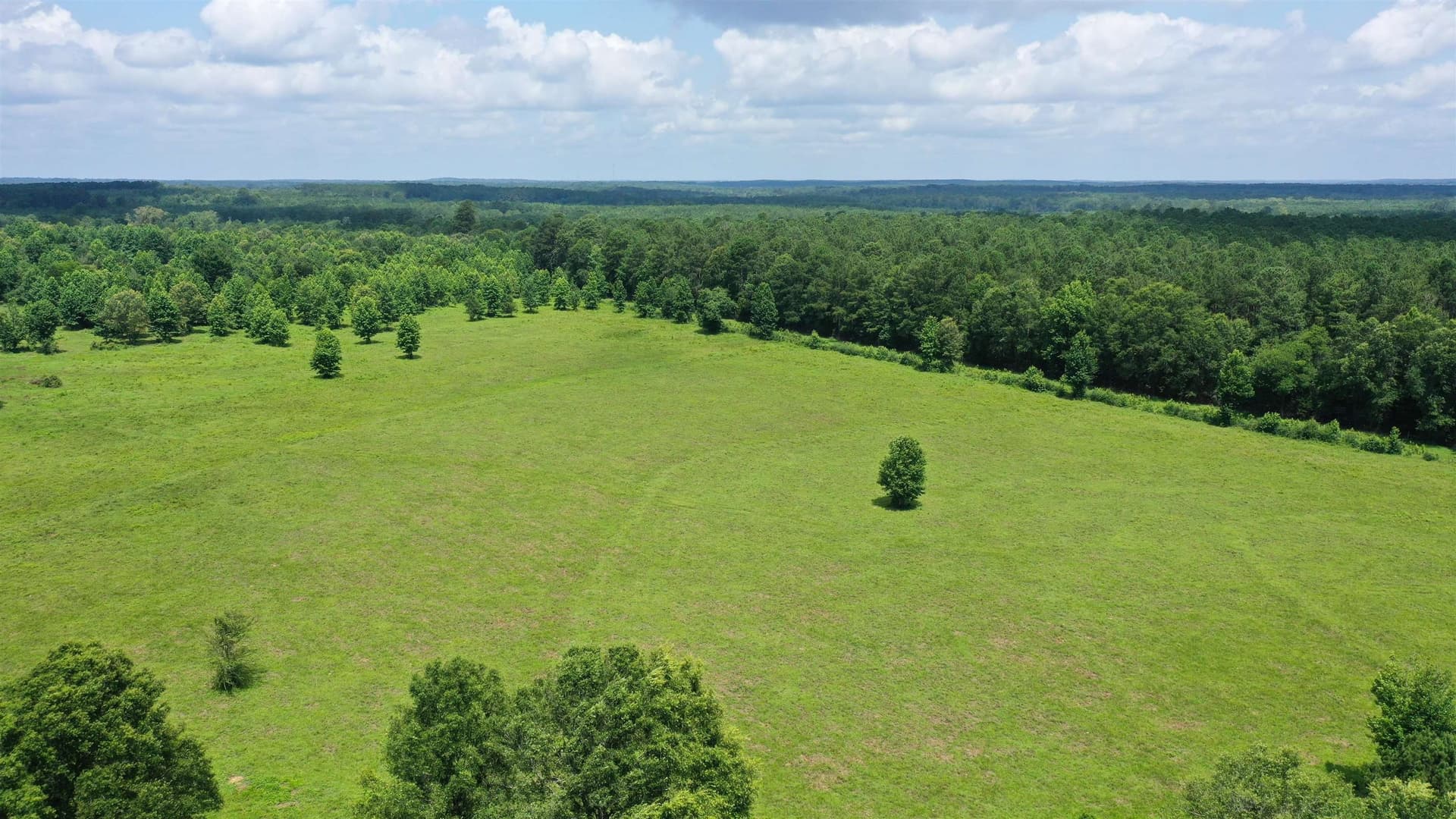 155.5 acres in Cass County - photo 22