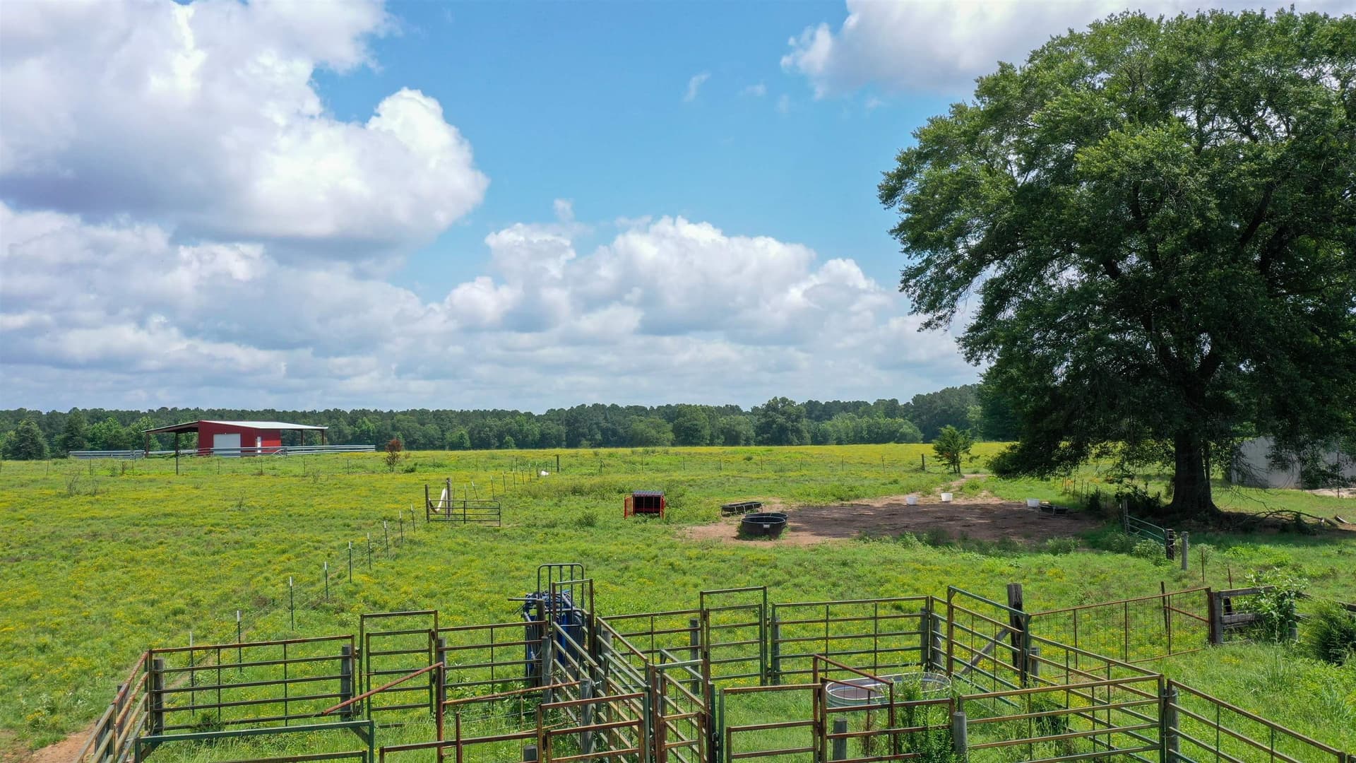 155.5 acres in Cass County - photo 20