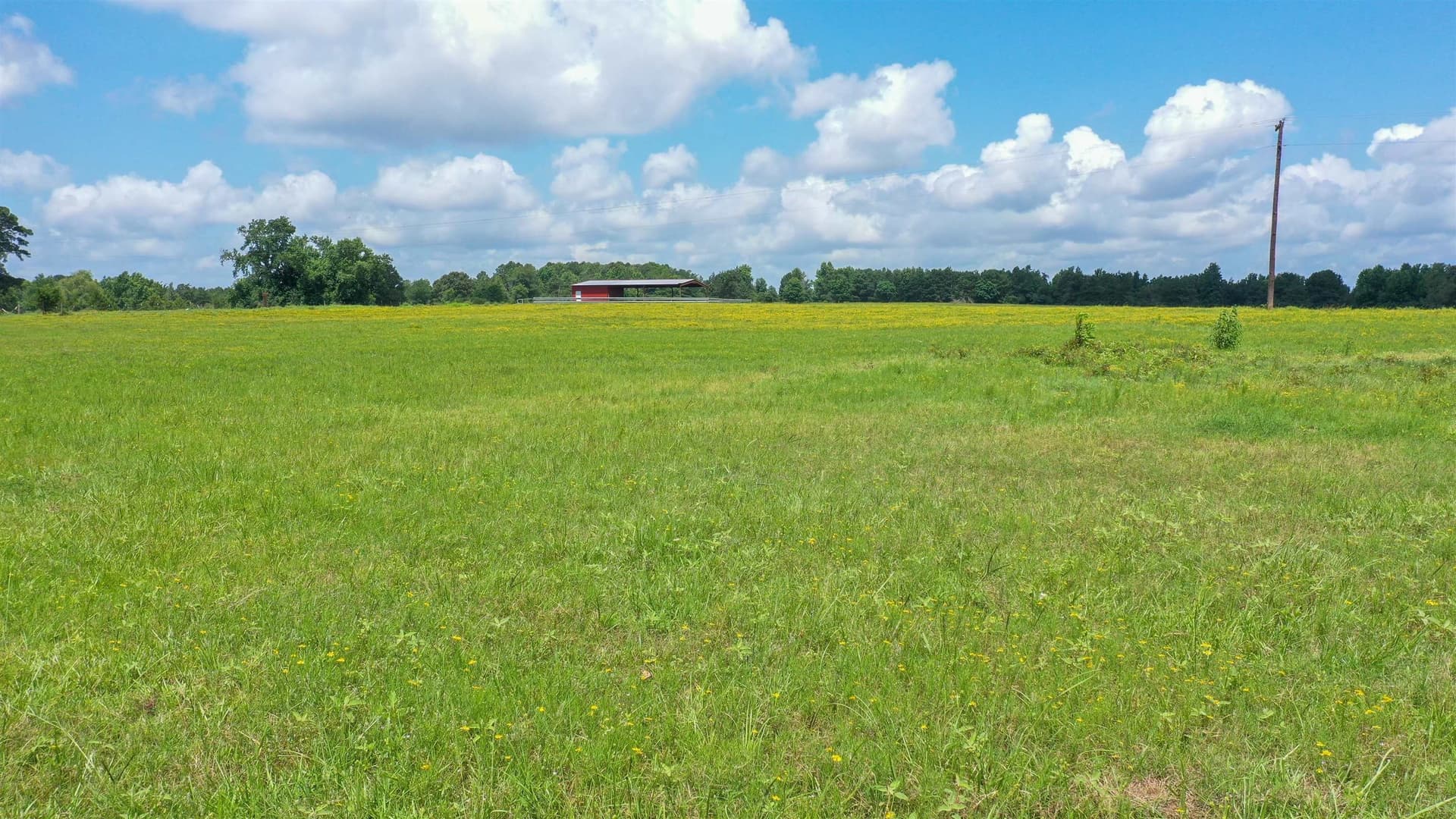 155.5 acres in Cass County - photo 17
