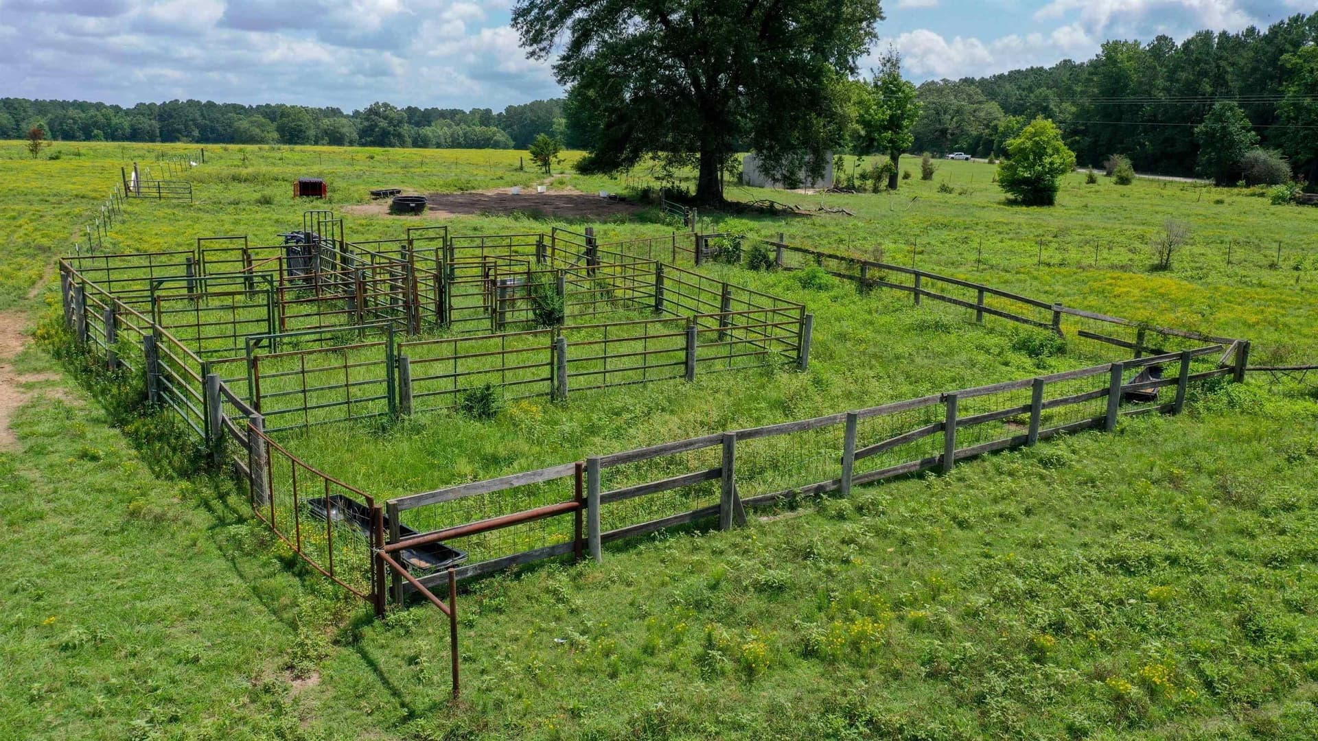 155.5 acres in Cass County - photo 11