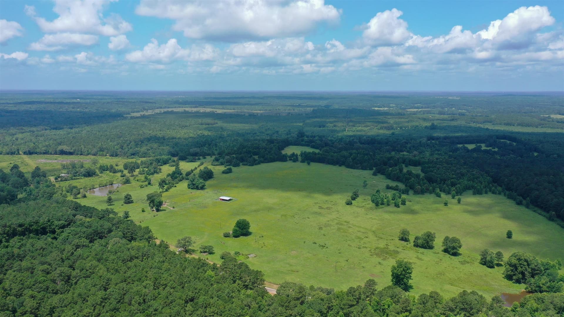 155.5 acres in Cass County - photo 26