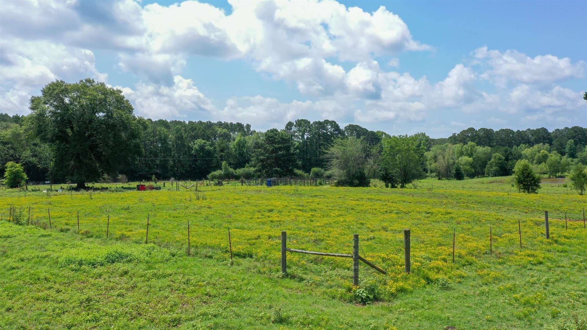 155.5 acres in Cass County - photo 19