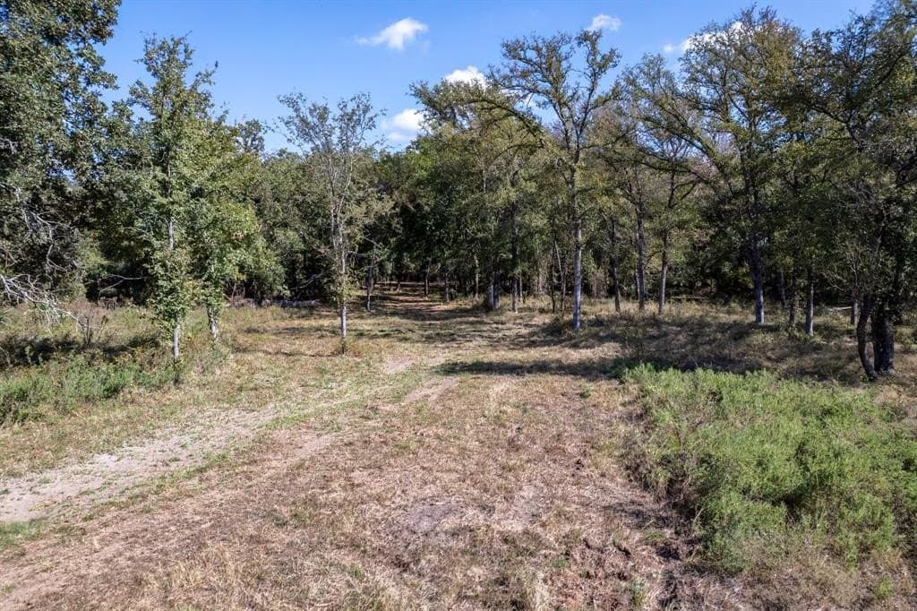 25.05 acres in Comanche County - photo 19