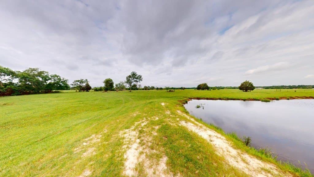 55.38 acres in Van Zandt County - photo 18