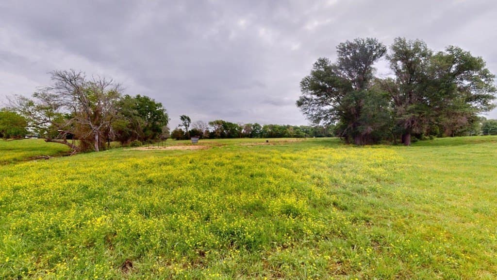 55.38 acres in Van Zandt County - photo 23