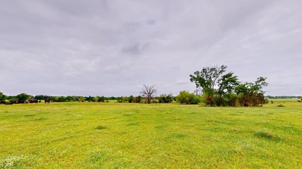 55.38 acres in Van Zandt County - photo 22