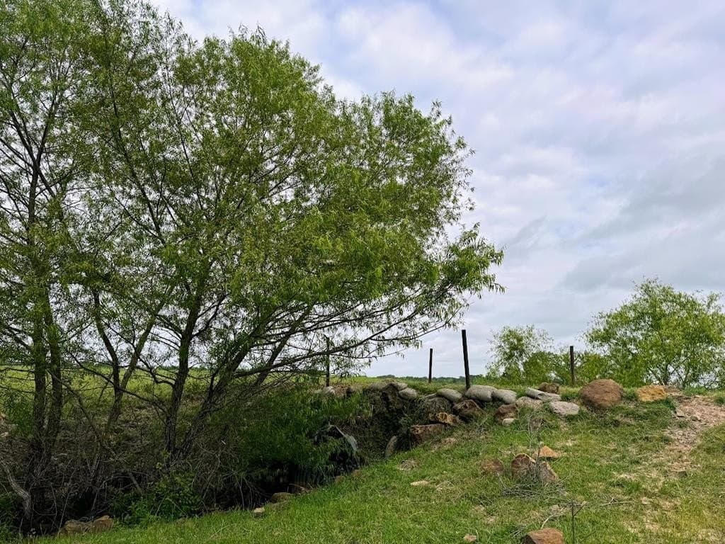 55.38 acres in Van Zandt County - photo 25