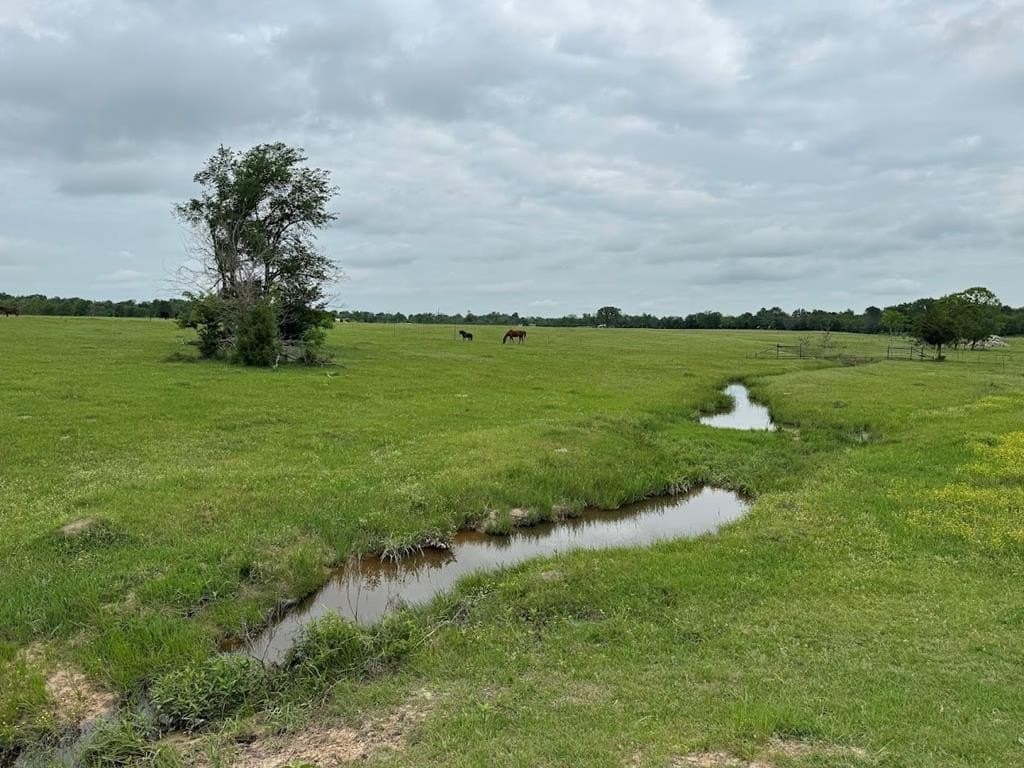 55.38 acres in Van Zandt County - photo 26