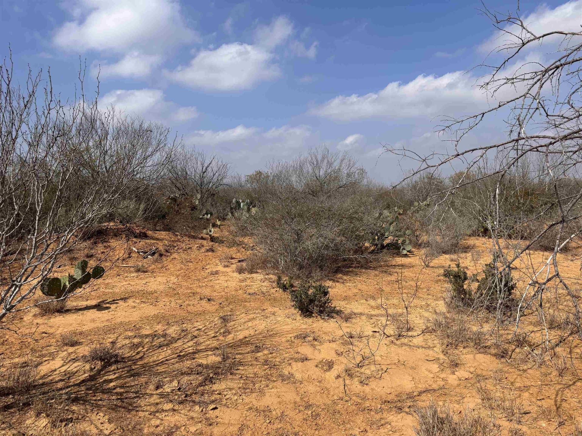 37.23 acres in WEBB County - photo 20