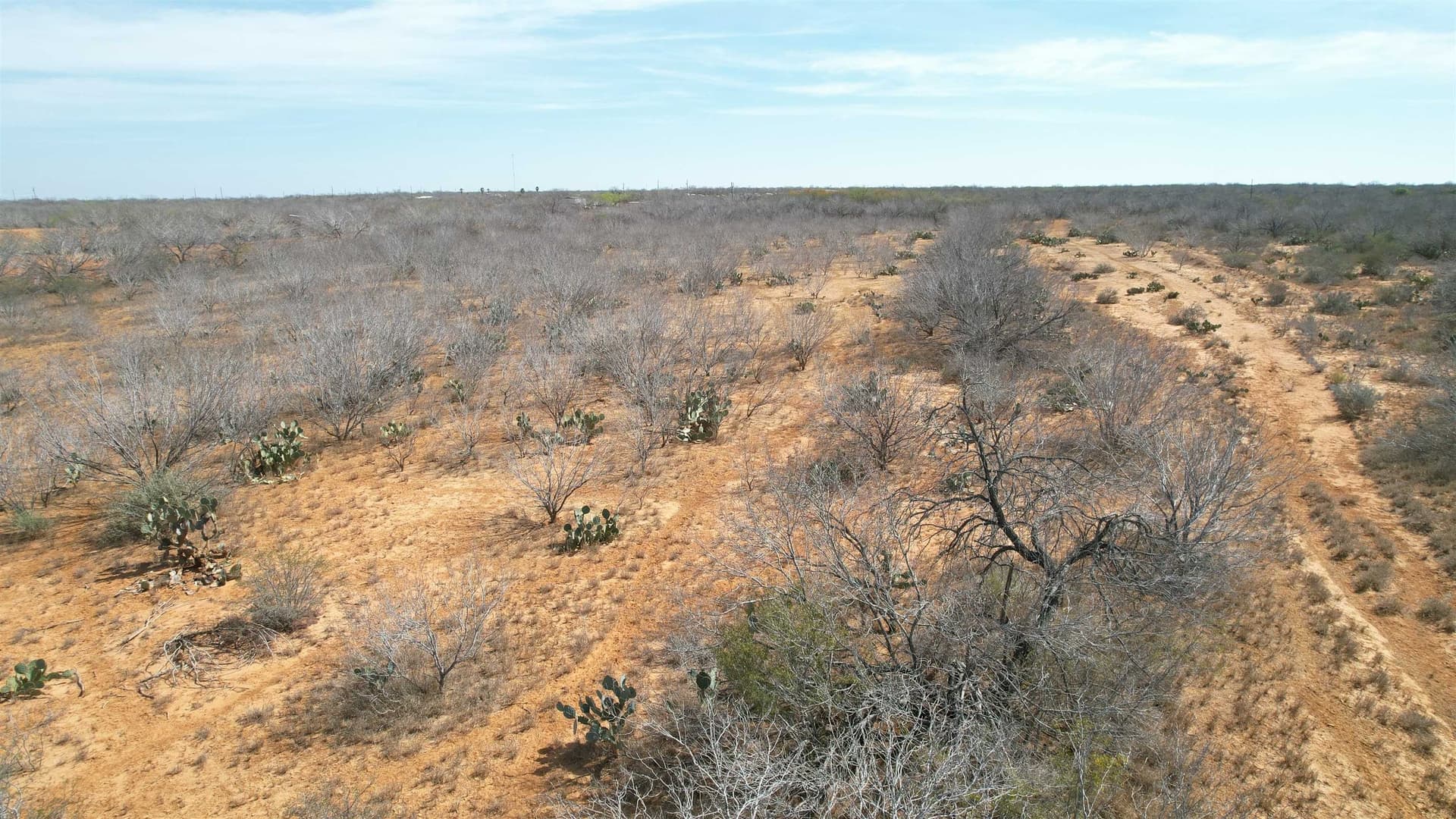 37.23 acres in WEBB County - photo 11