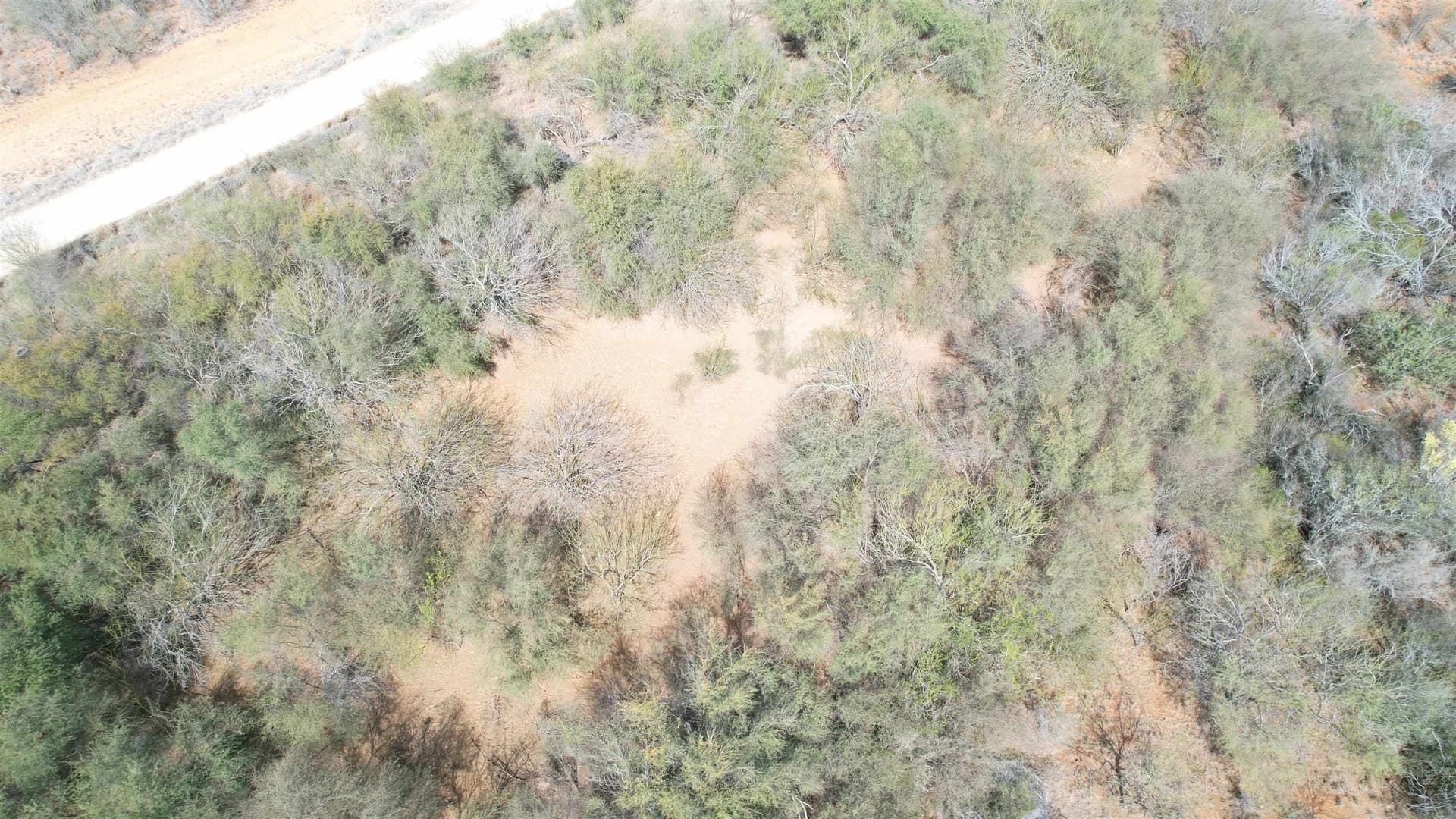 37.23 acres in WEBB County - photo 7