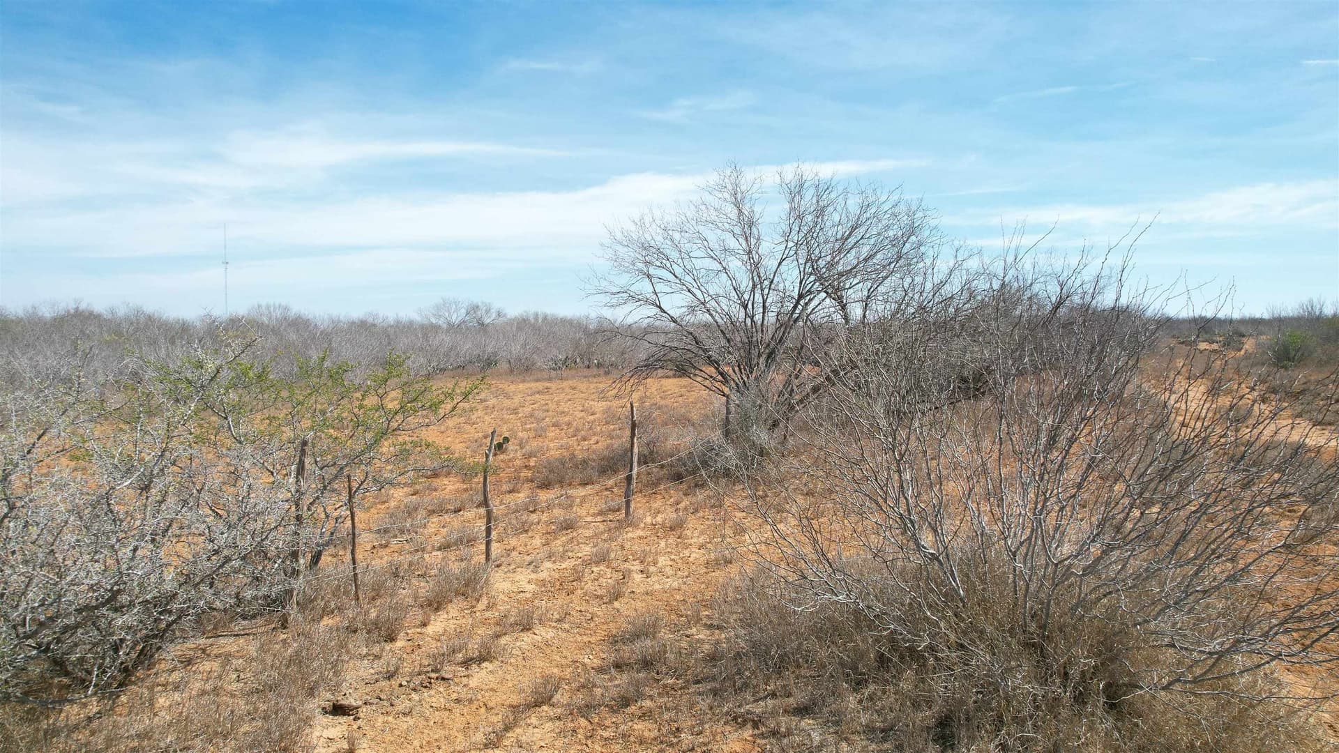 37.23 acres in WEBB County - photo 10