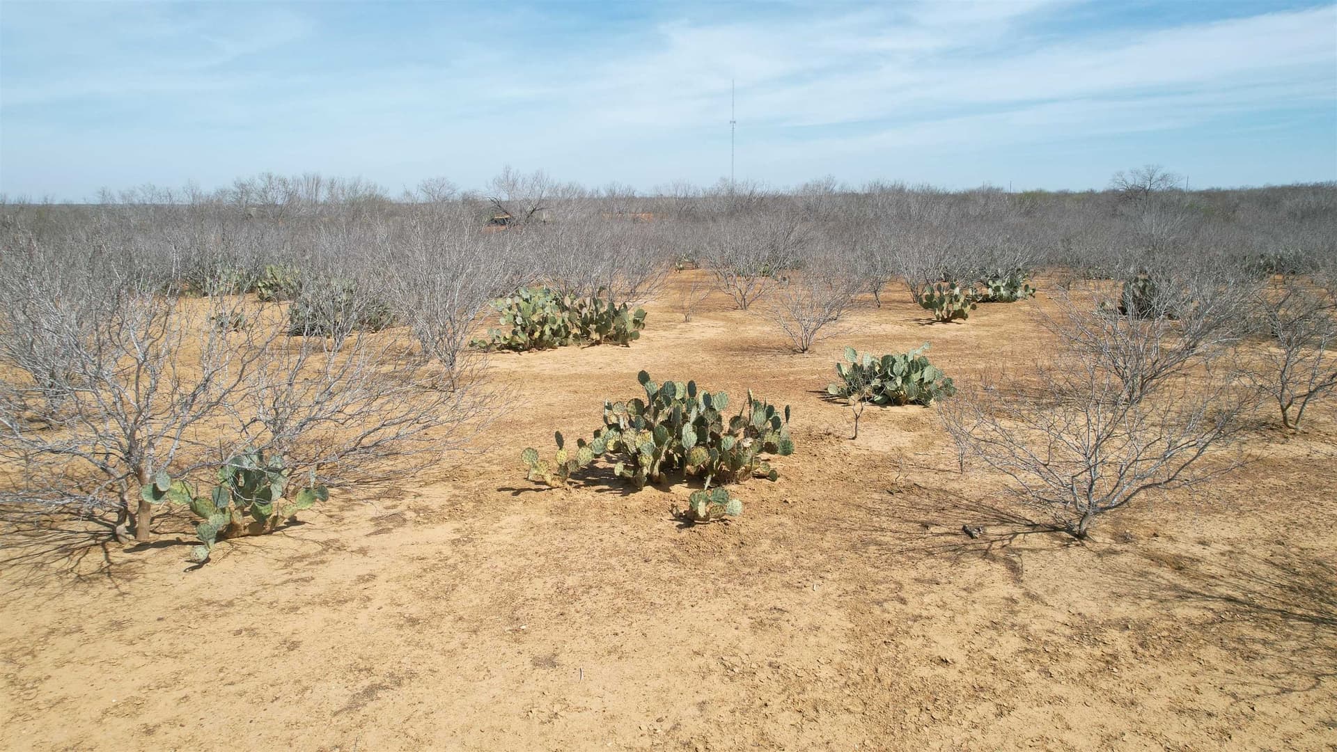 37.23 acres in WEBB County - photo 14