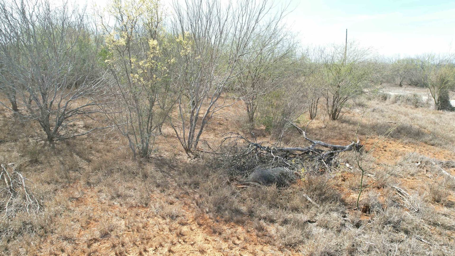 37.23 acres in WEBB County - photo 12