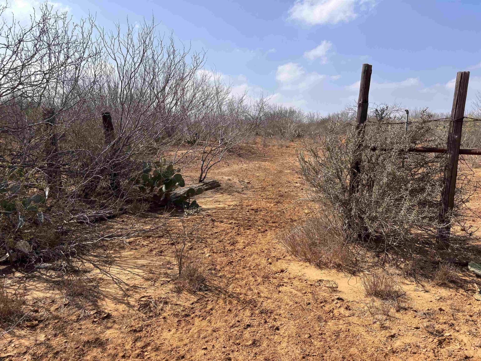 37.23 acres in WEBB County - photo 23