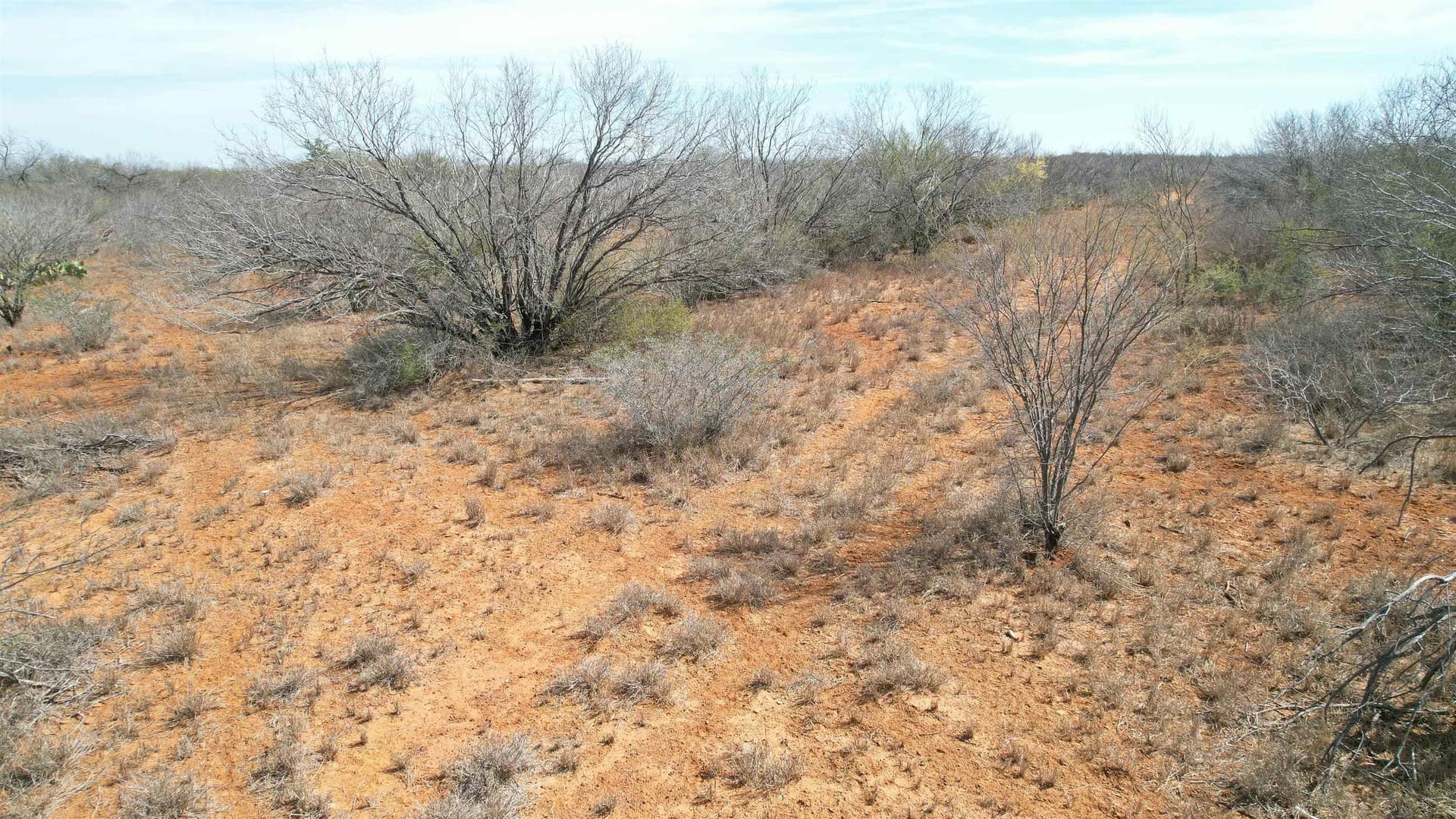 37.23 acres in WEBB County - photo 9