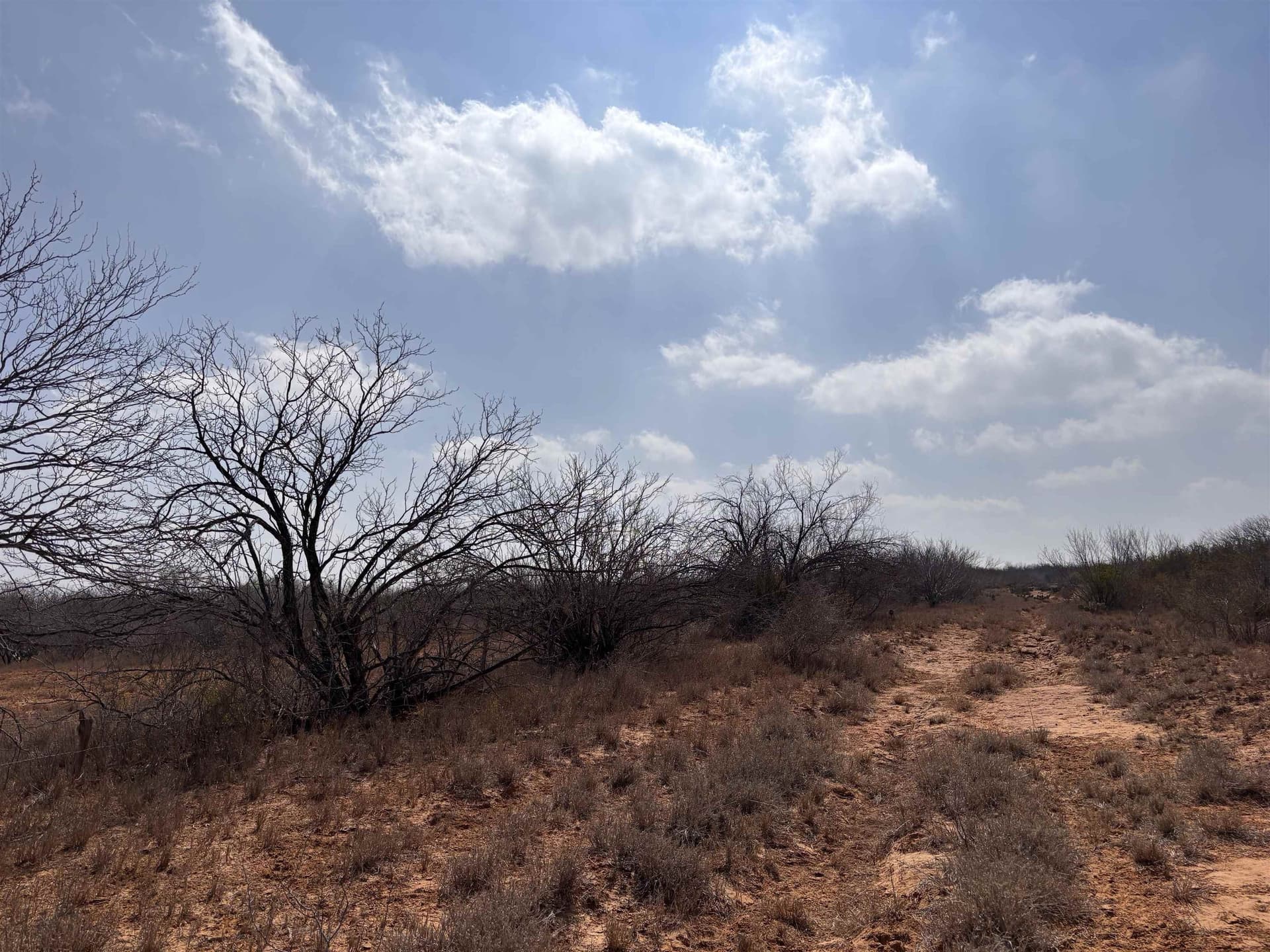 37.23 acres in WEBB County - photo 19