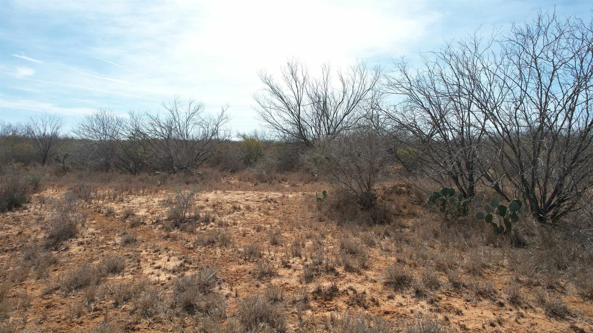 37.23 acres in WEBB County - photo 13