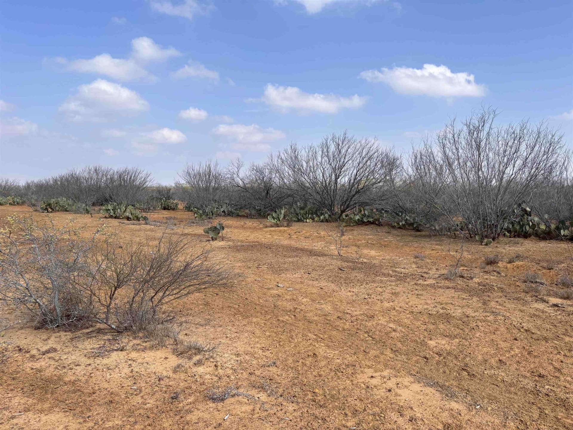 37.23 acres in WEBB County - photo 31