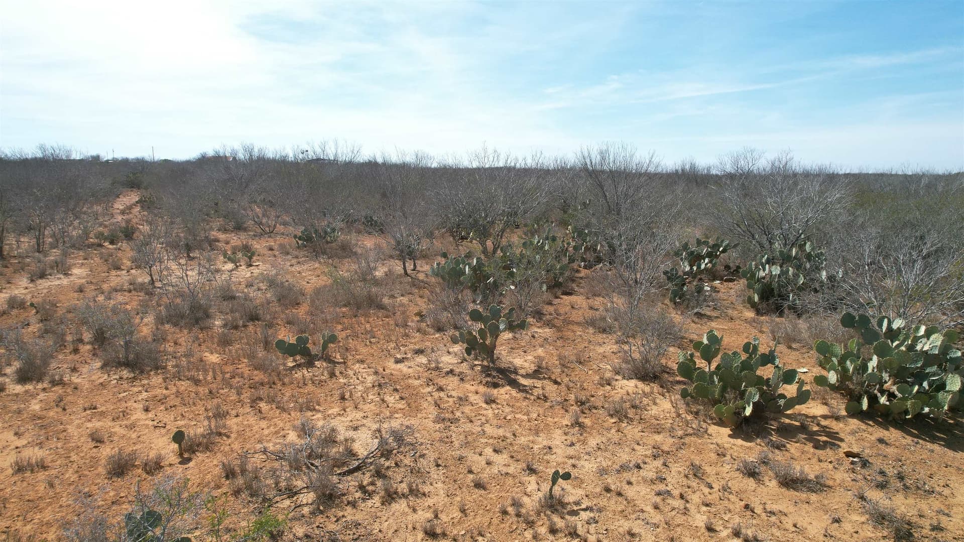 37.23 acres in WEBB County - photo 15
