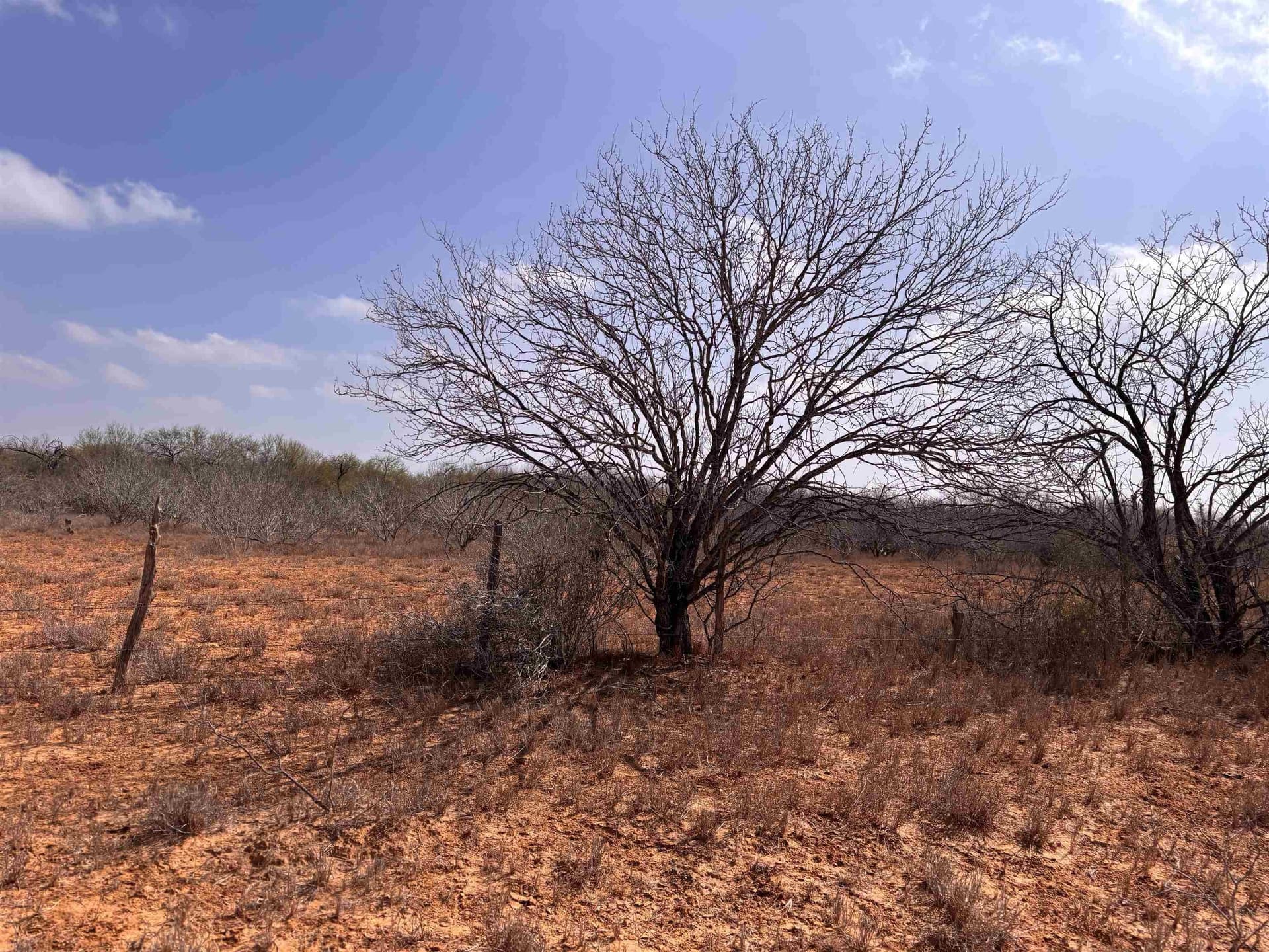 37.23 acres in WEBB County - photo 18
