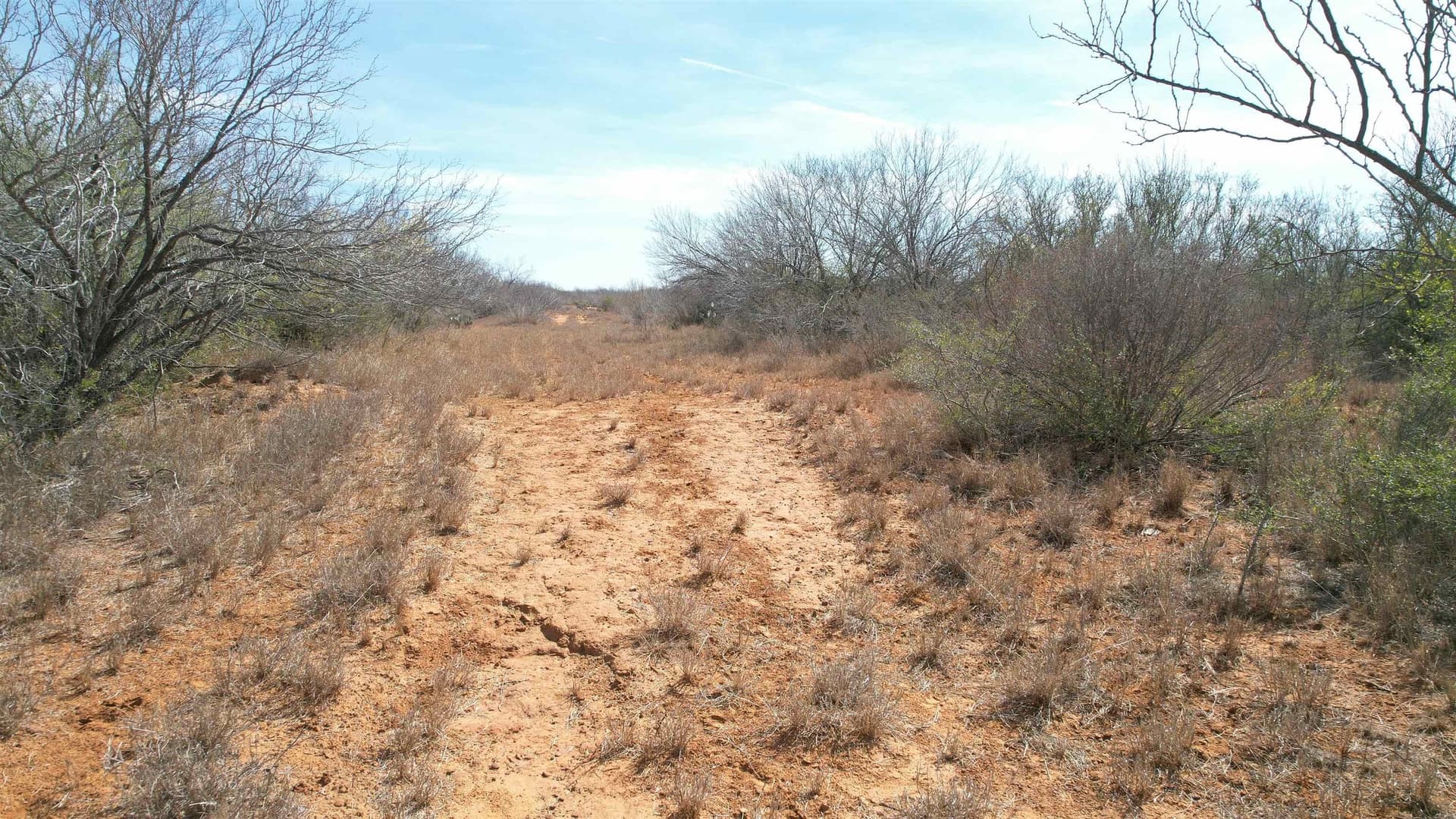 37.23 acres in WEBB County - photo 8