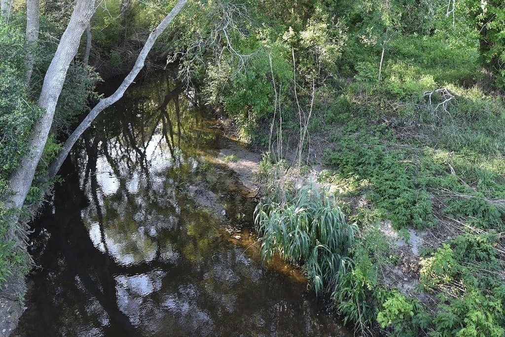 53.56 acres in Fayette County - photo 10