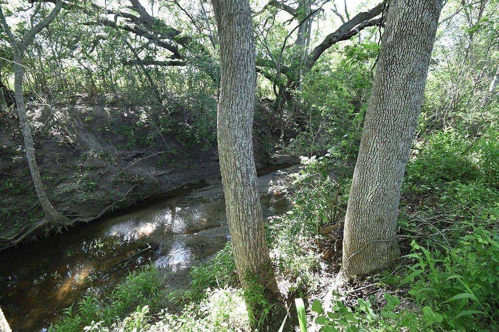 53.56 acres in Fayette County - photo 8