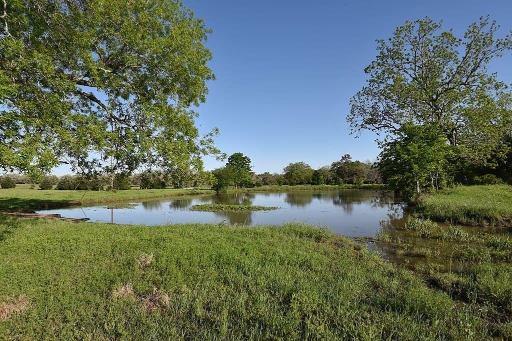 53.56 acres in Fayette County - photo 3