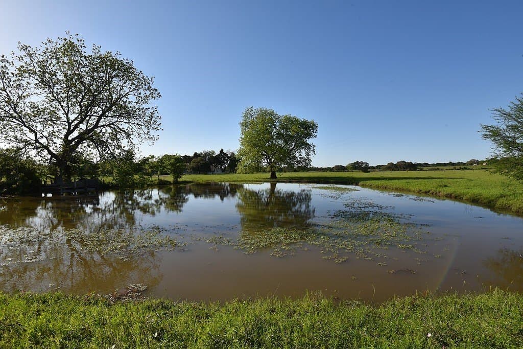 53.56 acres in Fayette County - photo 4