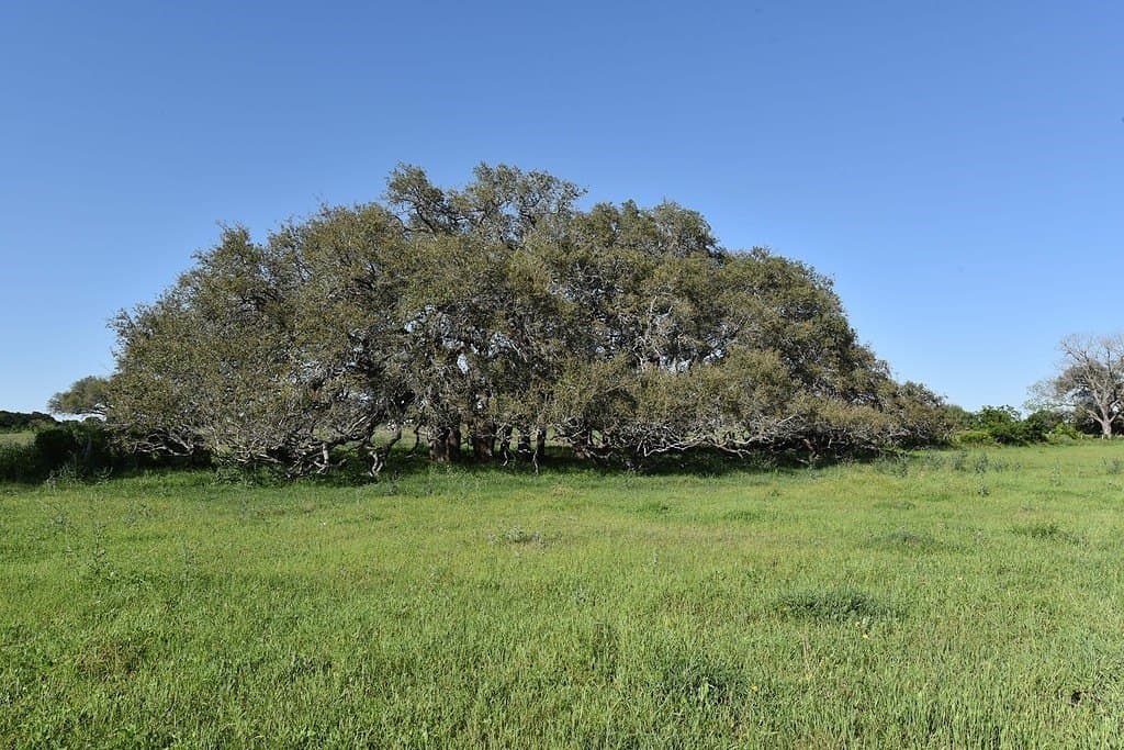53.56 acres in Fayette County - photo 13