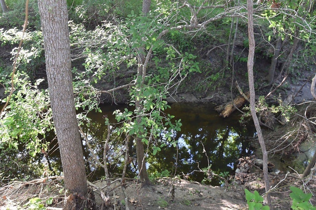 53.56 acres in Fayette County - photo 9