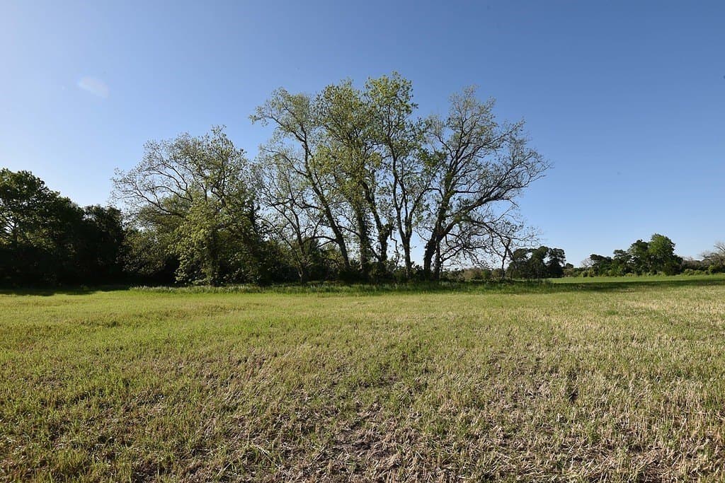 53.56 acres in Fayette County - photo 11