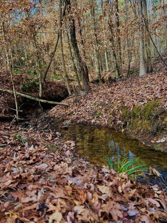 20.28 acres in Shelby County - photo 8