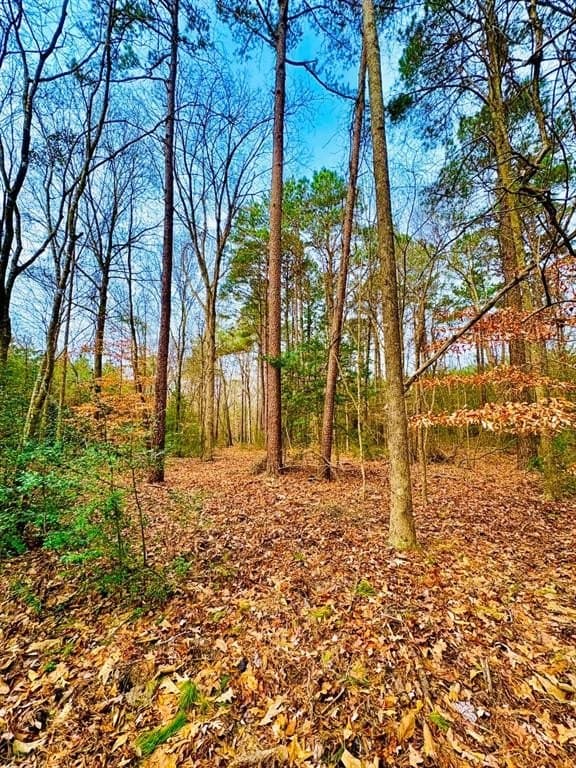 20.28 acres in Shelby County - photo 3