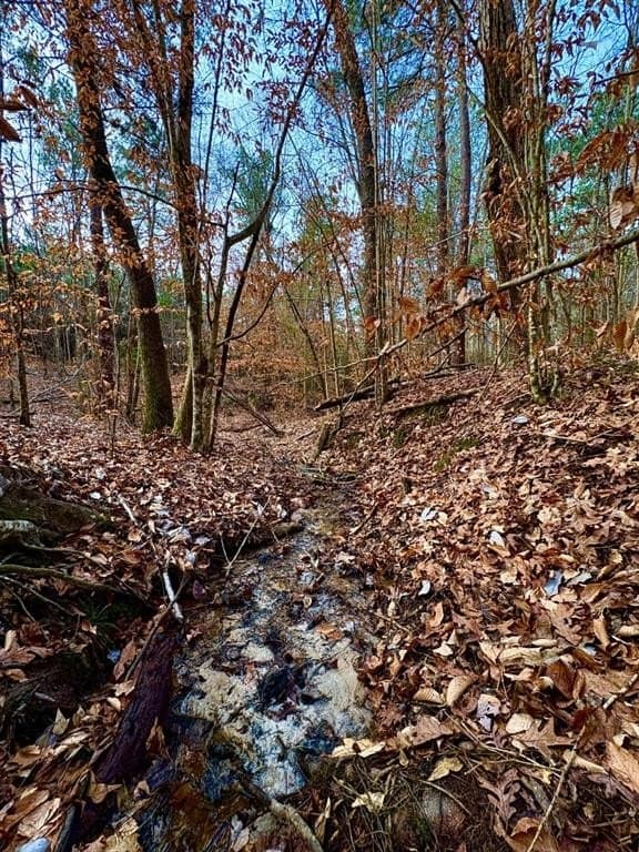 20.28 acres in Shelby County - photo 6