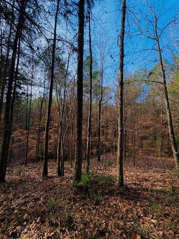 20.28 acres in Shelby County - photo 10