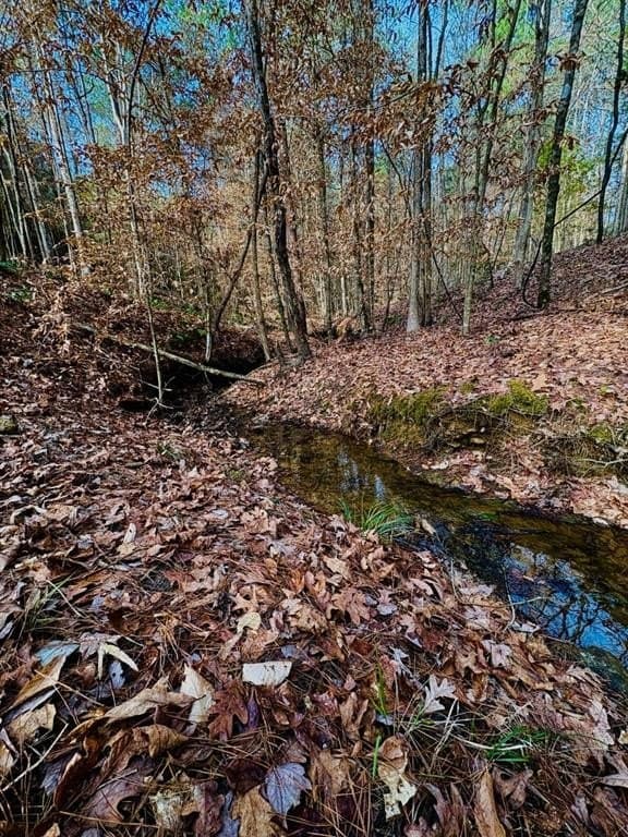 20.28 acres in Shelby County - photo 2