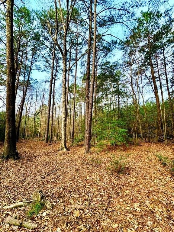 20.28 acres in Shelby County - photo 4