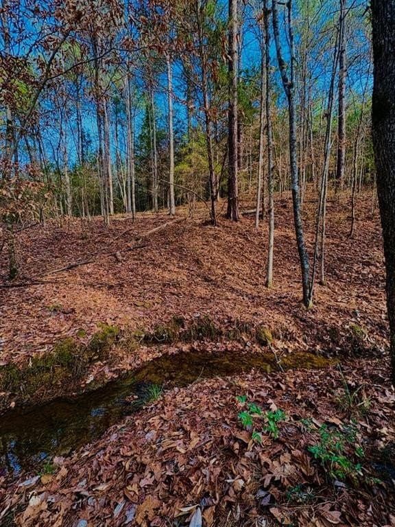 20.28 acres in Shelby County - photo 9
