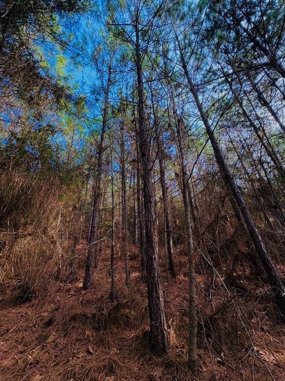 20.28 acres in Shelby County - photo 11