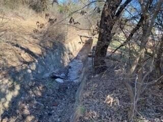 2.5 acres in Coleman County - photo 3