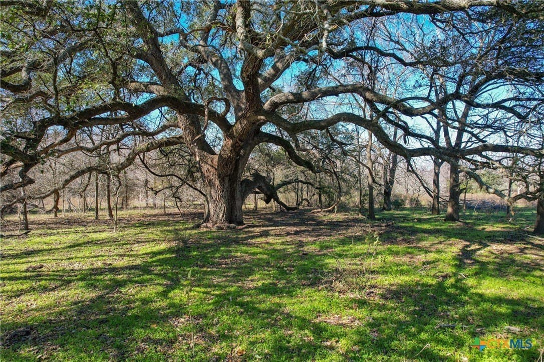 22.29 acres in Gonzales County - photo 18