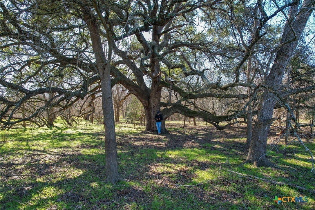 22.29 acres in Gonzales County - photo 17