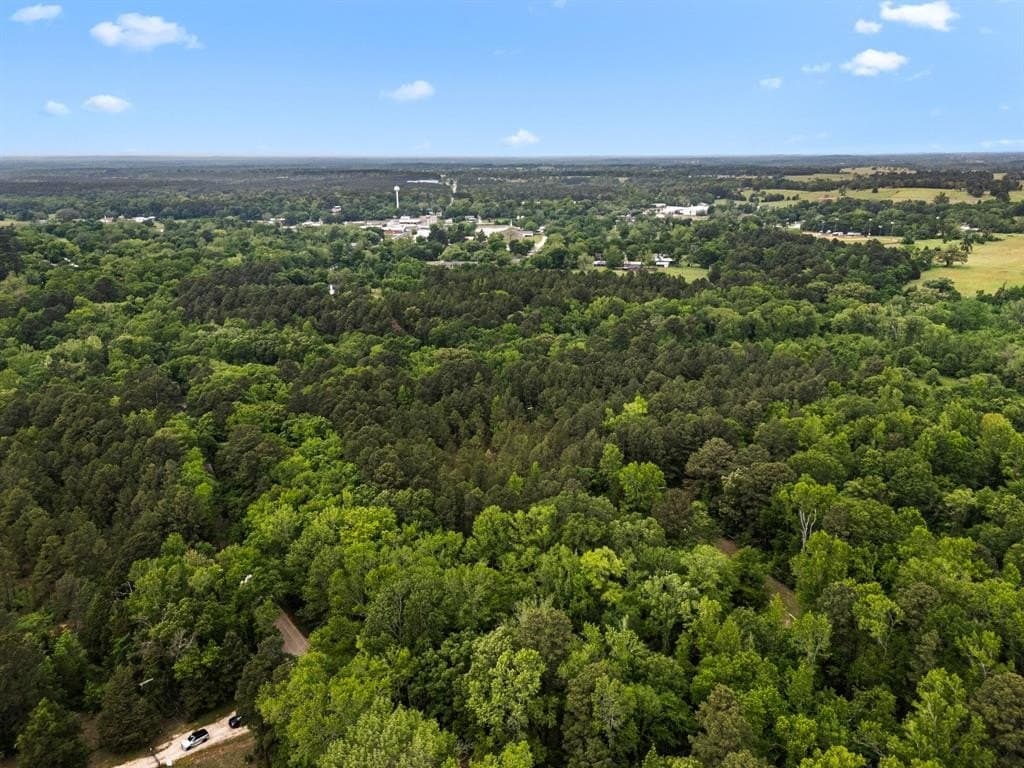104.5 acres in Smith County - photo 8